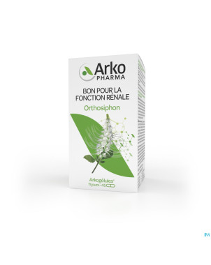 Arkogelules orthosiphon vegetal    45