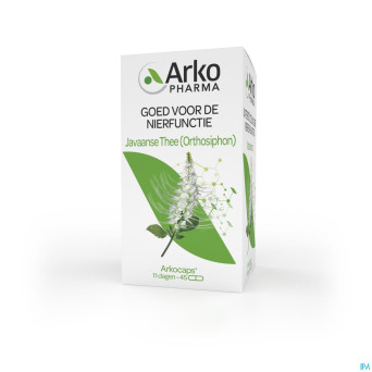Arkogelules orthosiphon vegetal    45