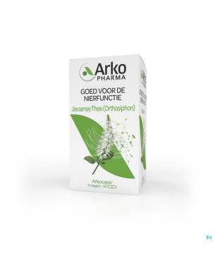 Arkogelules orthosiphon vegetal    45