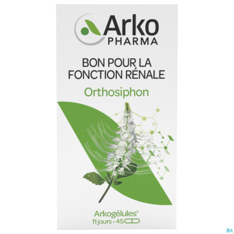 Arkogelules orthosiphon vegetal    45