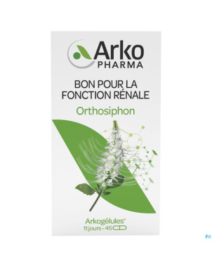 Arkogelules orthosiphon vegetal    45