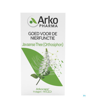 Arkogelules orthosiphon vegetal    45