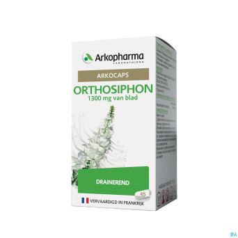 Arkogelules orthosiphon vegetal    45