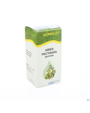 Abies pectinata gemmo d1 125ml boiron