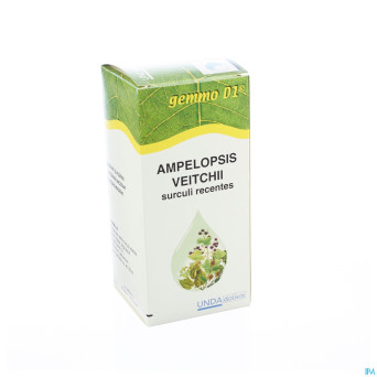 Ampelopsis veit.gemmo d1 125ml boiron