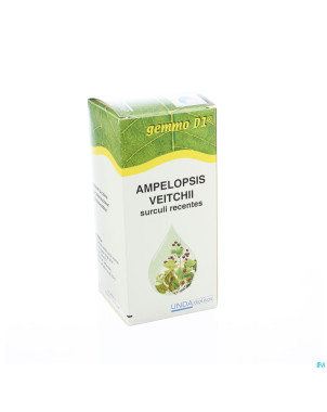 Ampelopsis veit.gemmo d1 125ml boiron
