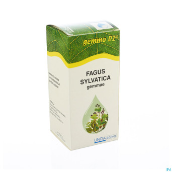 Fagus sylvatica gemmo d1 125ml boiron