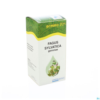 Fagus sylvatica gemmo d1 125ml boiron