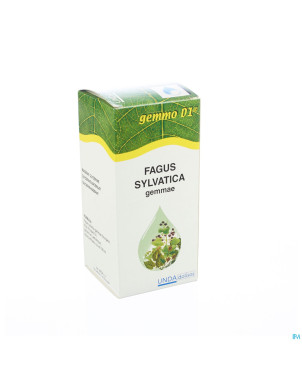 Fagus sylvatica gemmo d1 125ml boiron