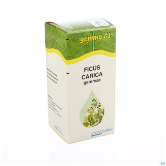 Ficus carica gemmo d1    125ml boiron