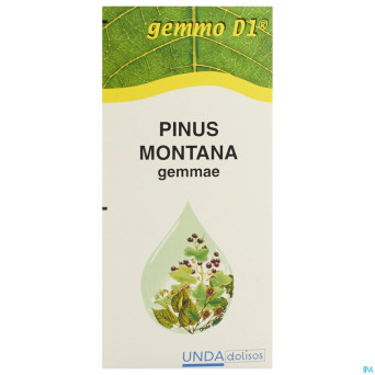 Pinus montana gemmo d1   125ml boiron