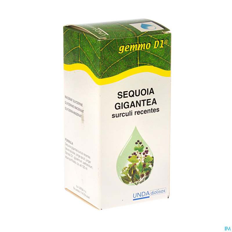 Sequoia gigant. gemmo d1 125ml boiron