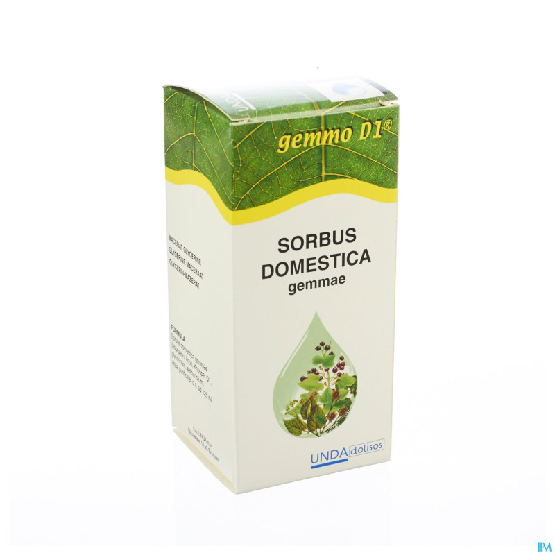 Sorbus domest. gemmo d1  125ml boiron