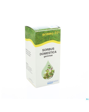 Sorbus domest. gemmo d1  125ml boiron
