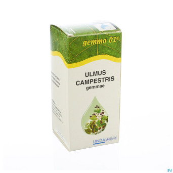 Ulmus campestr. gemmo d1 125ml boiron