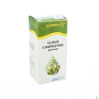 Ulmus campestr. gemmo d1 125ml boiron