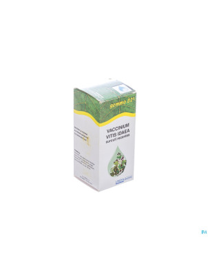 Vaccinium vit.id.gemmo d1 125mlboiron