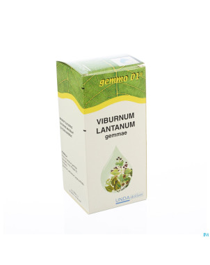 Viburnum lant. gemmo d1  125ml boiron
