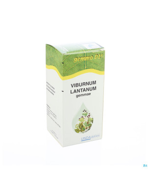Viburnum lant. gemmo d1  125ml boiron