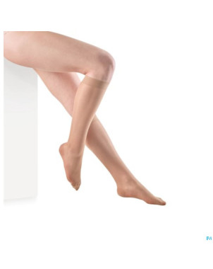 Botalux 140 bas jarret ch n6