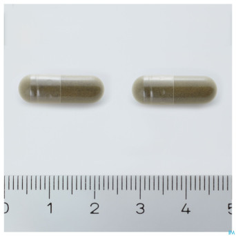 Arkogelules ginkgo biloba vegetal  150 cfr 3733110