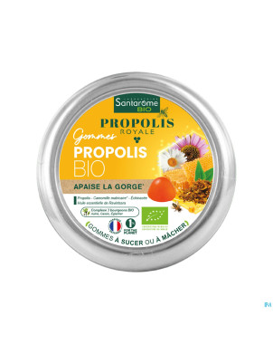 Acide alginique pdr    5kg alpha s