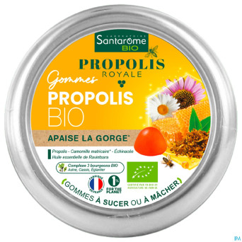 Acide alginique pdr    5kg alpha s