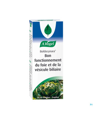 A.vogel boldocynara    gutt 50ml