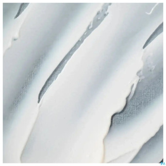 Upsavit c 500mg comp a croquer 2x15