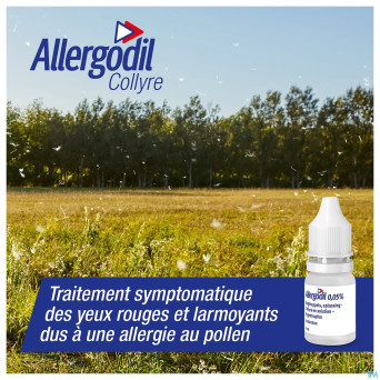 Allergodil collyre fl 6 ml