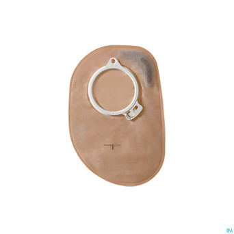 Alterna free p/f transp maxi 50mm 30 46457