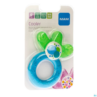 Mam multi anneau dentition