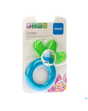 Mam multi anneau dentition