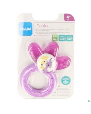 Mam multi anneau dentition