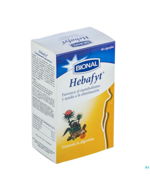 Bional hepafyt    caps 40