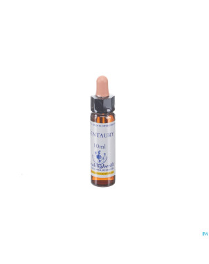 Healing herbs centaury    10ml