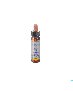 Healing herbs cerato    10ml