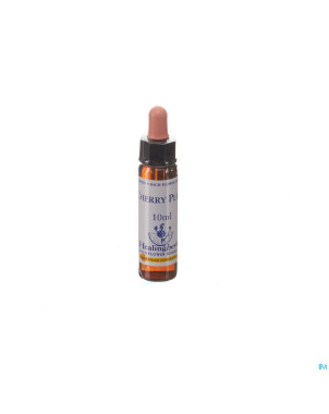 Healing herbs cherry plum    10ml