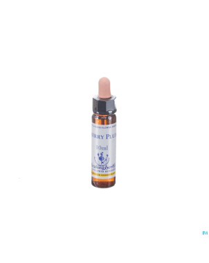 Healing herbs cherry plum    10ml