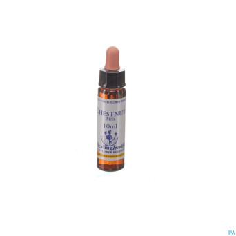 Healing herbs chestnut bud    10ml