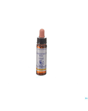 Healing herbs chestnut bud    10ml