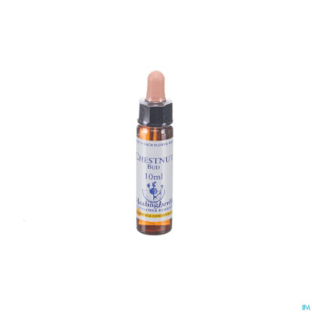 Healing herbs chestnut bud    10ml