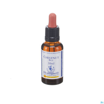 Healing herbs chestnut bud    30ml
