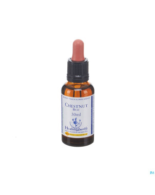 Healing herbs chestnut bud    30ml