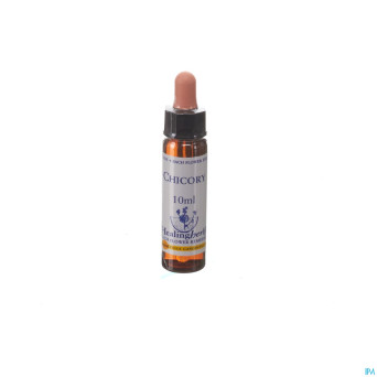 Healing herbs chicory    10ml