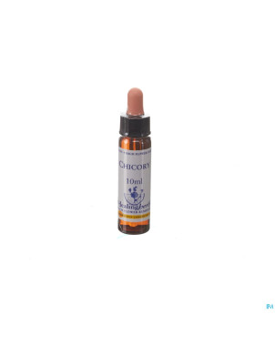 Healing herbs chicory    10ml