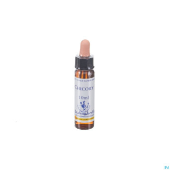 Healing herbs chicory    10ml