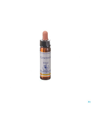 Healing herbs gentian    10ml