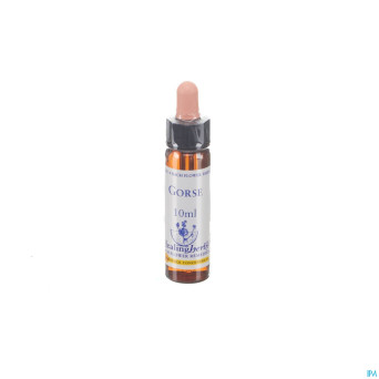 Healing herbs gorse    10ml
