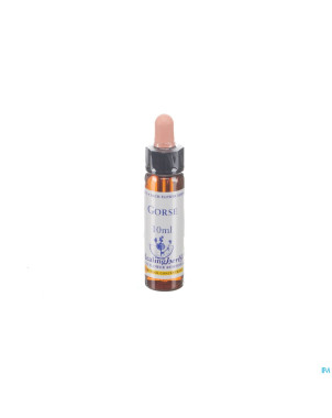 Healing herbs gorse    10ml